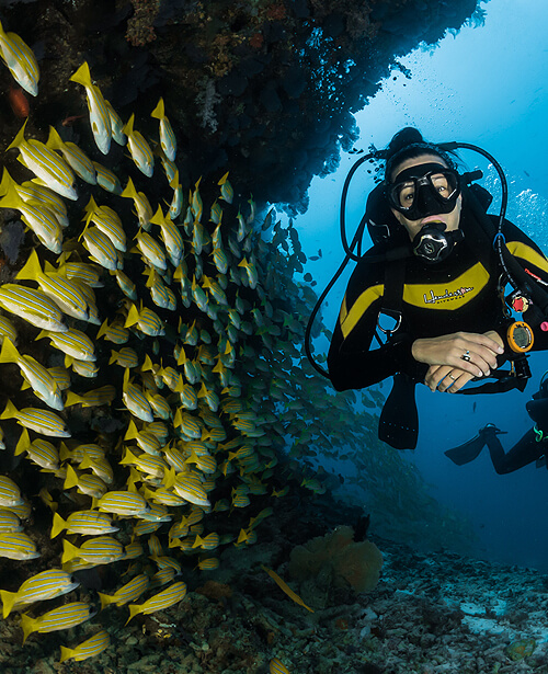 25 years of experience in diving industry