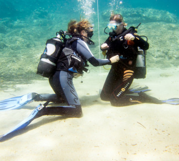 dive schools reservation software