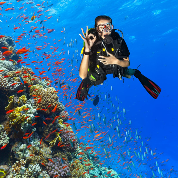 Scuba diving