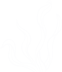 dive center courses management